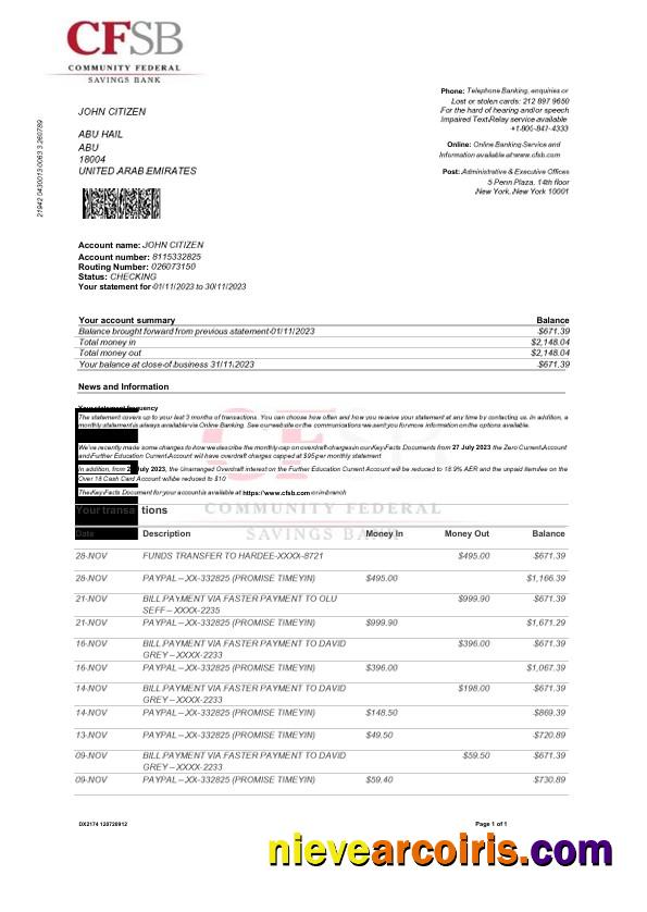 USA CFSB bank statement Word and PDF